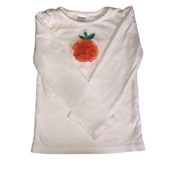 Gymboree pumpkin top 🛍 - Picture 1 of 2